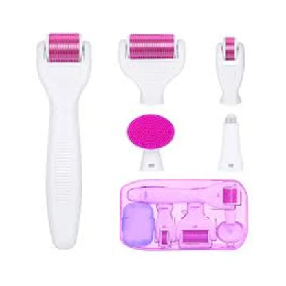 Derma 6 in 1 Micro Needle SKin Therapy Derma Roller Kit For Face & Body